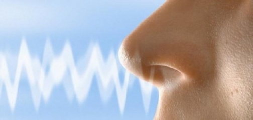 الأسرار الخفية للروائح